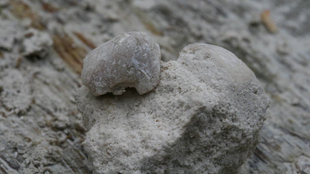 Skillingbro Kalkgrav (Kalkgraben)