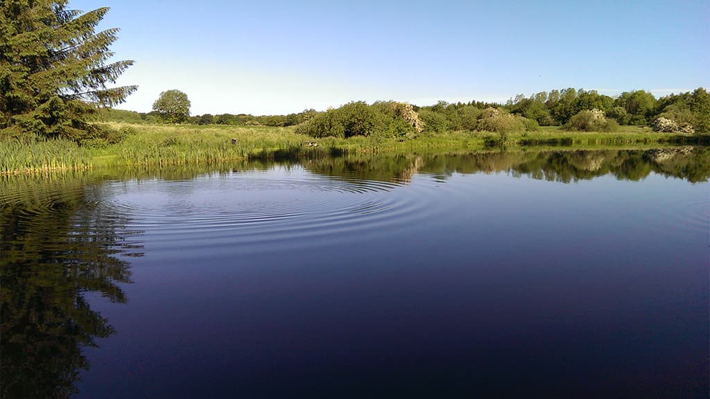 Drostrup Angelsee