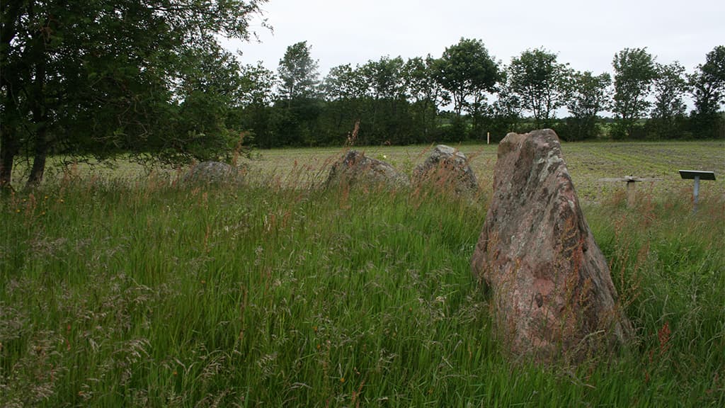 Langdysse Vittrup