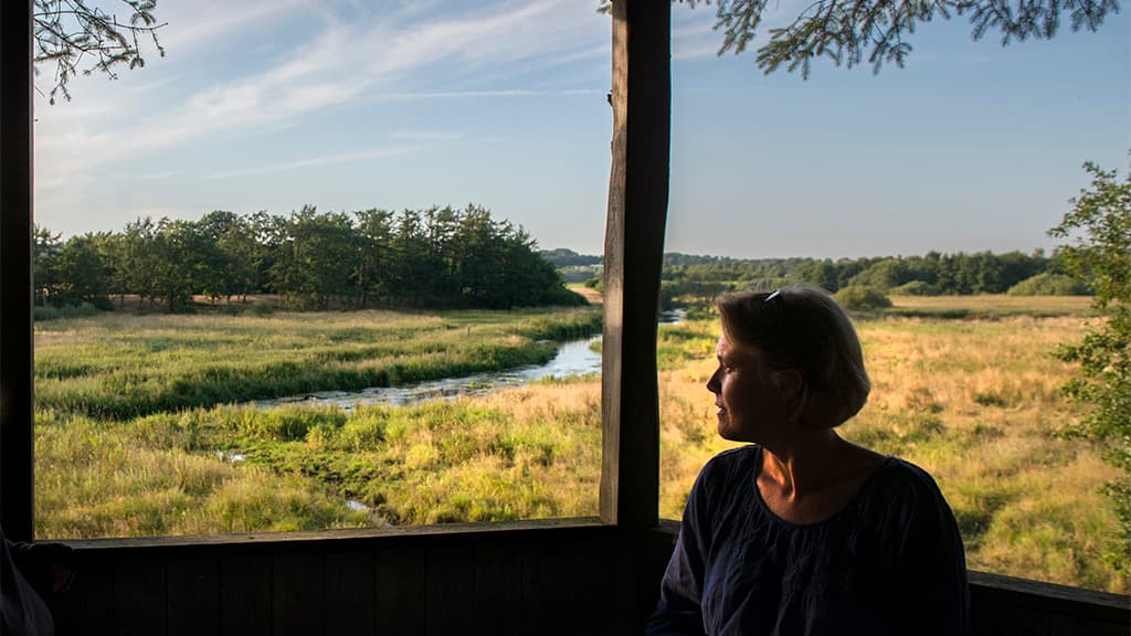 Herberge Kongeåen