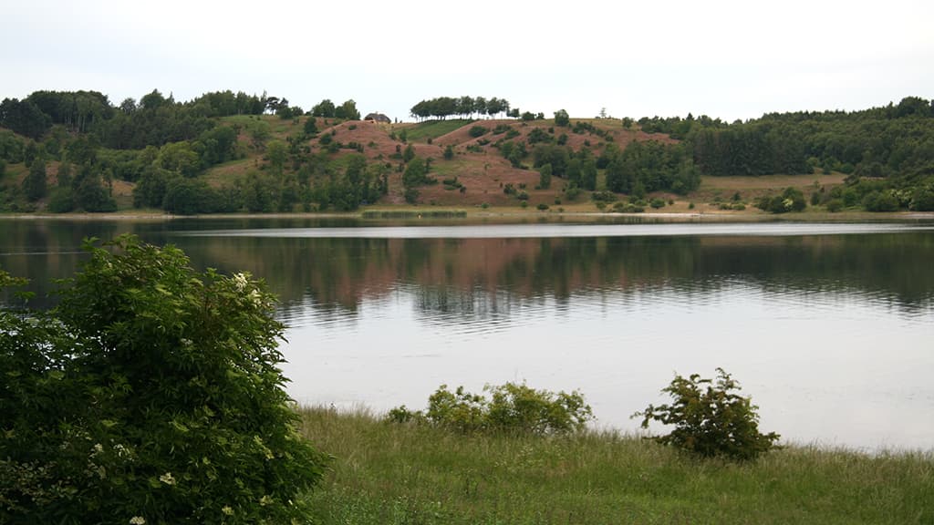 Angelorte, Silleborg Hage
