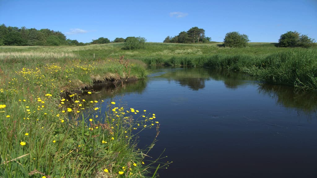 Fishing in Lerkenfeld Stream