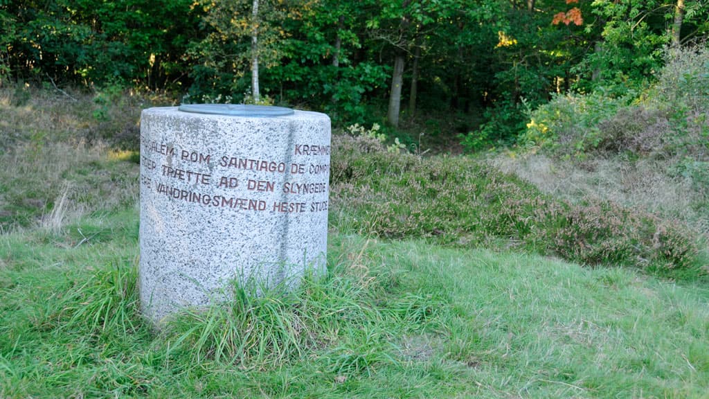 Hundeauslauf und Hundewälder in Viborg